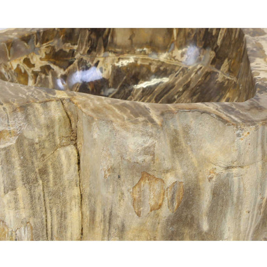Fossil Wood Washbasin Sina