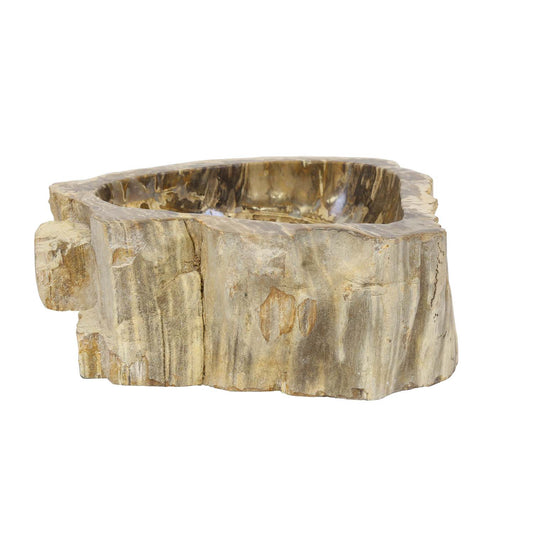 Fossil Wood Washbasin Sina