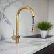 Brass Pull-Down Kitchen Faucet
